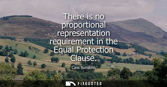 Small: There is no proportional representation requirement in the Equal Protection Clause