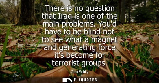 Small: There is no question that Iraq is one of the main problems. Youd have to be blind not to see what a mag