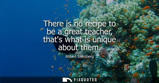 Small: There is no recipe to be a great teacher, thats what is unique about them