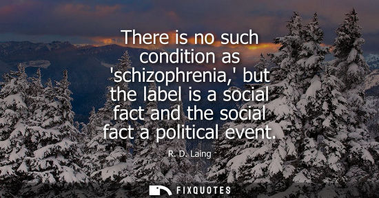 Small: There is no such condition as schizophrenia, but the label is a social fact and the social fact a polit