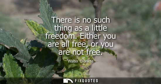 Small: There is no such thing as a little freedom. Either you are all free, or you are not free
