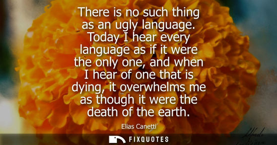 Small: There is no such thing as an ugly language. Today I hear every language as if it were the only one, and