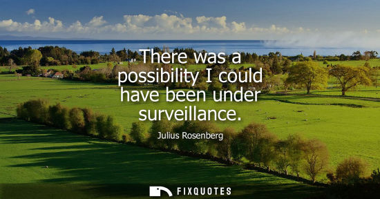 Small: There was a possibility I could have been under surveillance