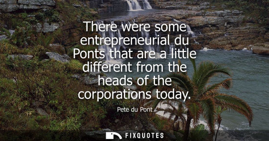 Small: There were some entrepreneurial du Ponts that are a little different from the heads of the corporations