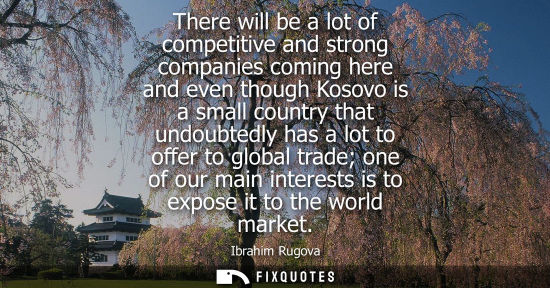 Small: There will be a lot of competitive and strong companies coming here and even though Kosovo is a small c