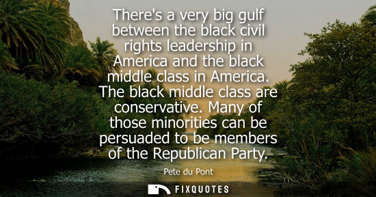 Small: Theres a very big gulf between the black civil rights leadership in America and the black middle class 