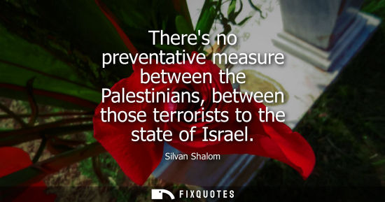Small: Theres no preventative measure between the Palestinians, between those terrorists to the state of Israe
