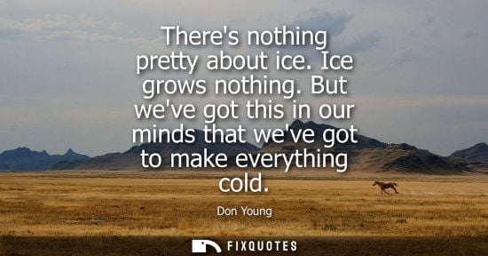 Small: Theres nothing pretty about ice. Ice grows nothing. But weve got this in our minds that weve got to mak