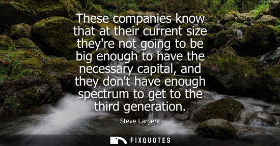 Small: These companies know that at their current size theyre not going to be big enough to have the necessary