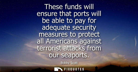Small: These funds will ensure that ports will be able to pay for adequate security measures to protect all Am