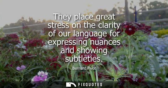 Small: They place great stress on the clarity of our language for expressing nuances and showing subtleties
