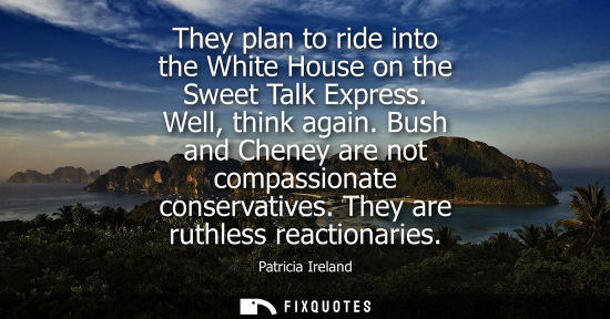 Small: They plan to ride into the White House on the Sweet Talk Express. Well, think again. Bush and Cheney ar