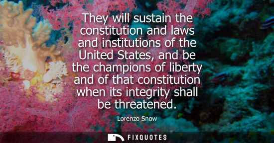 Small: They will sustain the constitution and laws and institutions of the United States, and be the champions