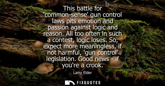 Small: This battle for common-sense gun control laws pits emotion and passion against logic and reason. All to