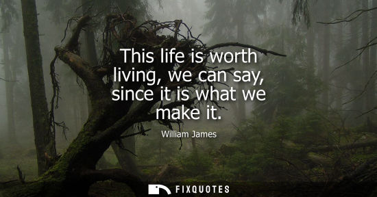 Small: This life is worth living, we can say, since it is what we make it