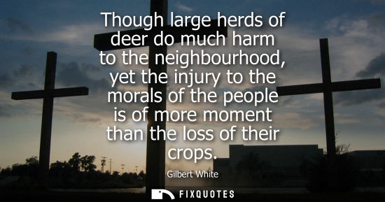 Small: Though large herds of deer do much harm to the neighbourhood, yet the injury to the morals of the peopl