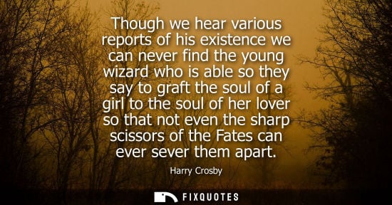 Small: Though we hear various reports of his existence we can never find the young wizard who is able so they 