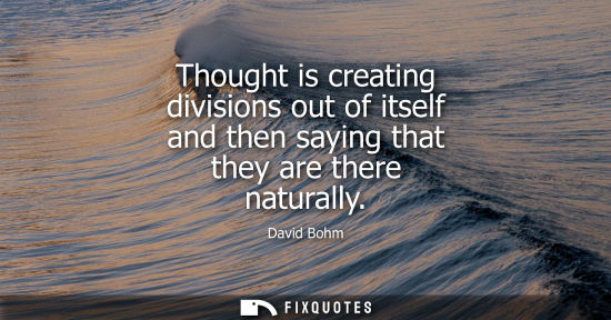 Small: Thought is creating divisions out of itself and then saying that they are there naturally