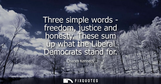 Small: Three simple words - freedom, justice and honesty. These sum up what the Liberal Democrats stand for