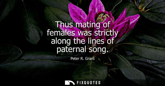 Small: Thus mating of females was strictly along the lines of paternal song