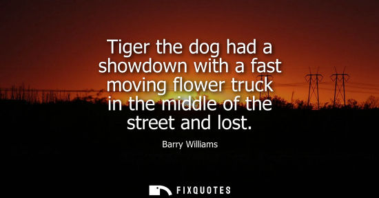 Small: Tiger the dog had a showdown with a fast moving flower truck in the middle of the street and lost