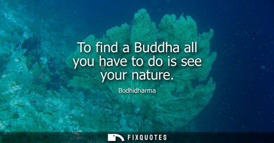 Small: To find a Buddha all you have to do is see your nature