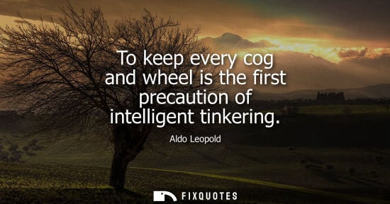 Small: To keep every cog and wheel is the first precaution of intelligent tinkering
