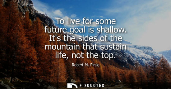 Small: To live for some future goal is shallow. Its the sides of the mountain that sustain life, not the top