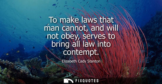 Small: To make laws that man cannot, and will not obey, serves to bring all law into contempt