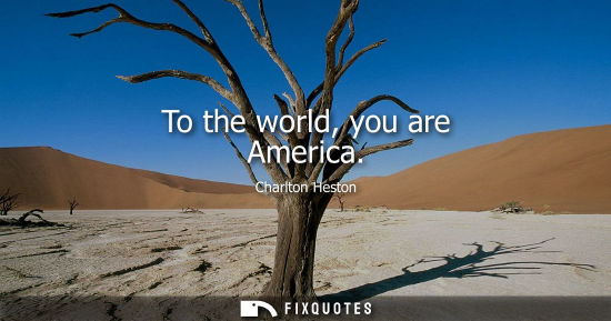 Small: To the world, you are America
