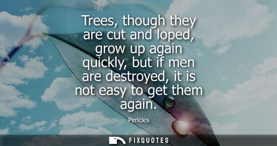 Small: Trees, though they are cut and loped, grow up again quickly, but if men are destroyed, it is not easy t