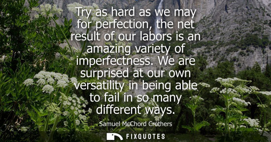 Small: Try as hard as we may for perfection, the net result of our labors is an amazing variety of imperfectne