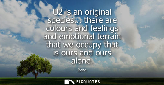Small: U2 is an original species... there are colours and feelings and emotional terrain that we occupy that i