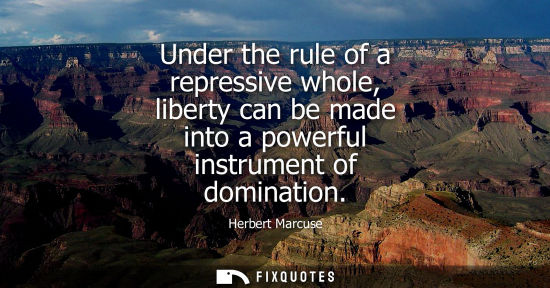 Small: Under the rule of a repressive whole, liberty can be made into a powerful instrument of domination
