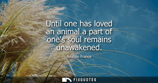 Small: Until one has loved an animal a part of ones soul remains unawakened - Anatole France