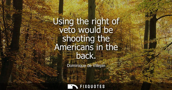 Small: Using the right of veto would be shooting the Americans in the back