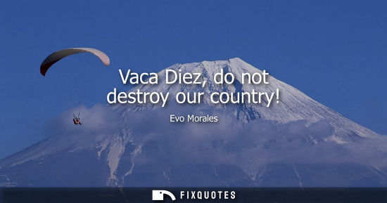 Small: Vaca Diez, do not destroy our country!