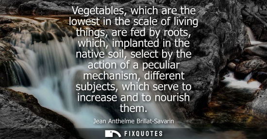 Small: Vegetables, which are the lowest in the scale of living things, are fed by roots, which, implanted in t
