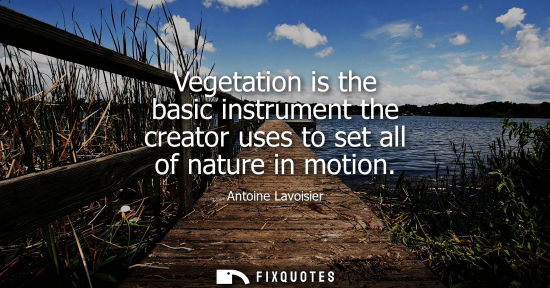 Small: Vegetation is the basic instrument the creator uses to set all of nature in motion