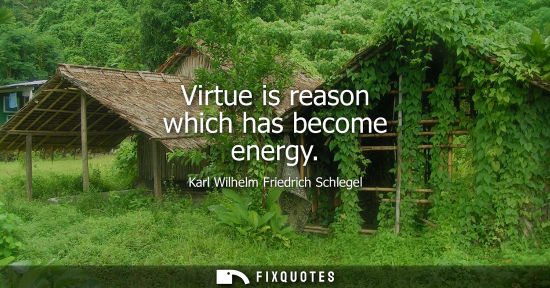 Small: Virtue is reason which has become energy