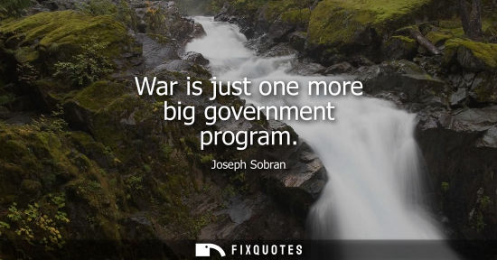 Small: War is just one more big government program