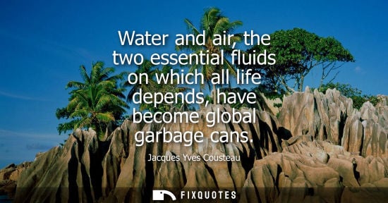 Small: Water and air, the two essential fluids on which all life depends, have become global garbage cans