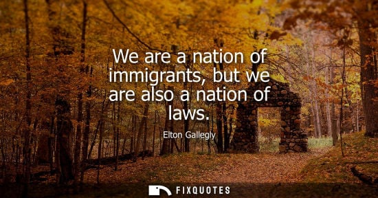 Small: We are a nation of immigrants, but we are also a nation of laws