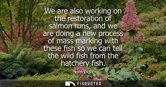 Small: We are also working on the restoration of salmon runs, and we are doing a new process of mass marking w