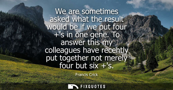 Small: We are sometimes asked what the result would be if we put four +s in one gene. To answer this my collea