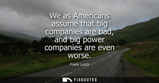 Small: We as Americans assume that big companies are bad, and big power companies are even worse