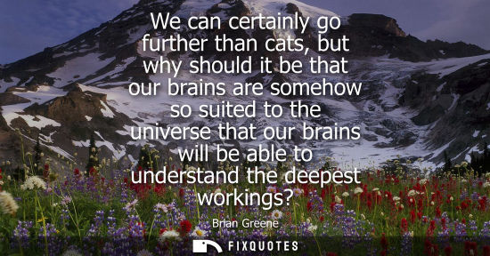 Small: We can certainly go further than cats, but why should it be that our brains are somehow so suited to th