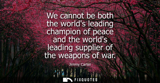 Small: We cannot be both the worlds leading champion of peace and the worlds leading supplier of the weapons o