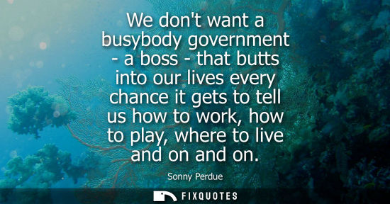 Small: We dont want a busybody government - a boss - that butts into our lives every chance it gets to tell us