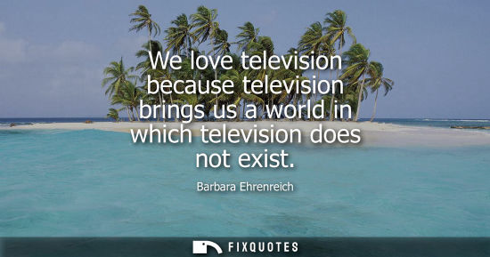 Small: We love television because television brings us a world in which television does not exist